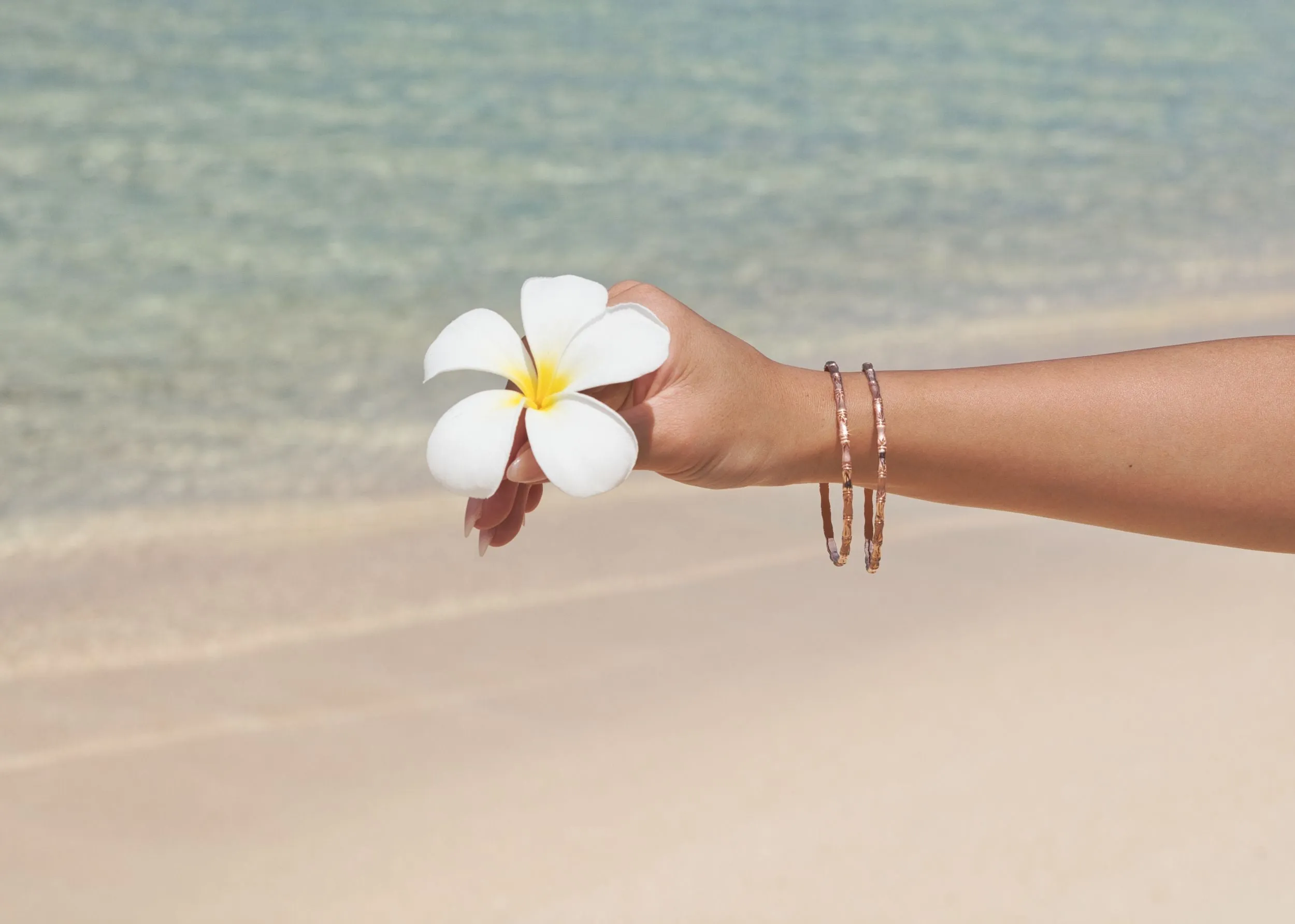 10K Rose Gold Bamboo Leaf Bangle | 3MM