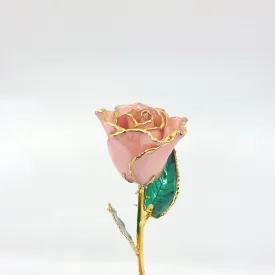 Gold Dipped Rose