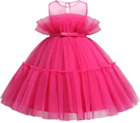 KAGAYD Girls Tea Party Dress Toddler Children Princess Dress Dress Babys Performance Dress Dress with Mesh Skirt for Girls (A, 2-3 Years)