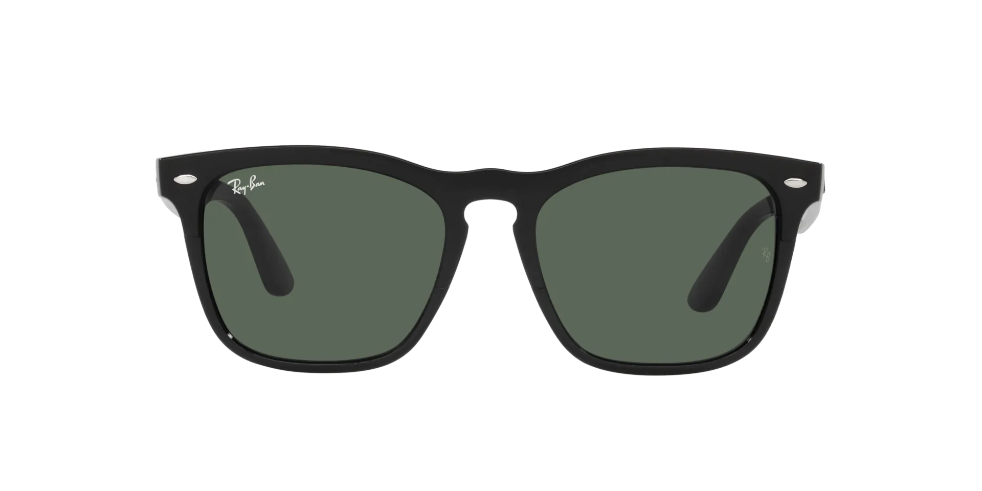 RAY BAN STEVE BLACK | DARK GREEN