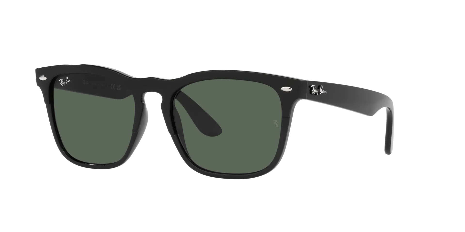 RAY BAN STEVE BLACK | DARK GREEN