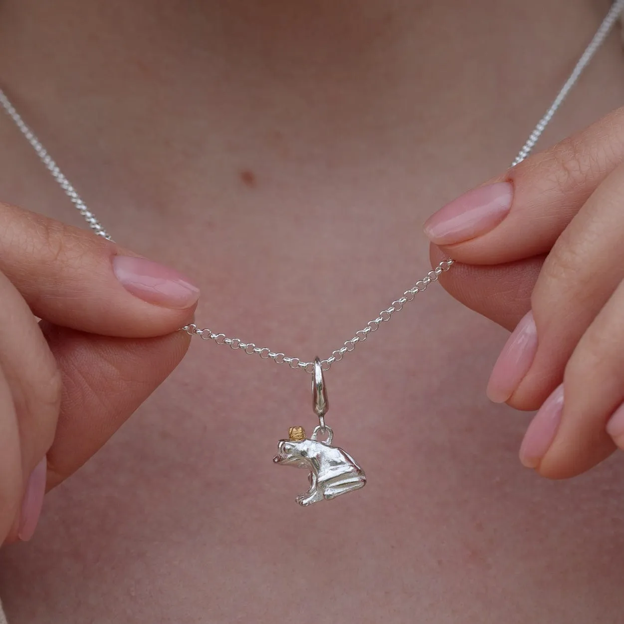 Silver Frog Charm